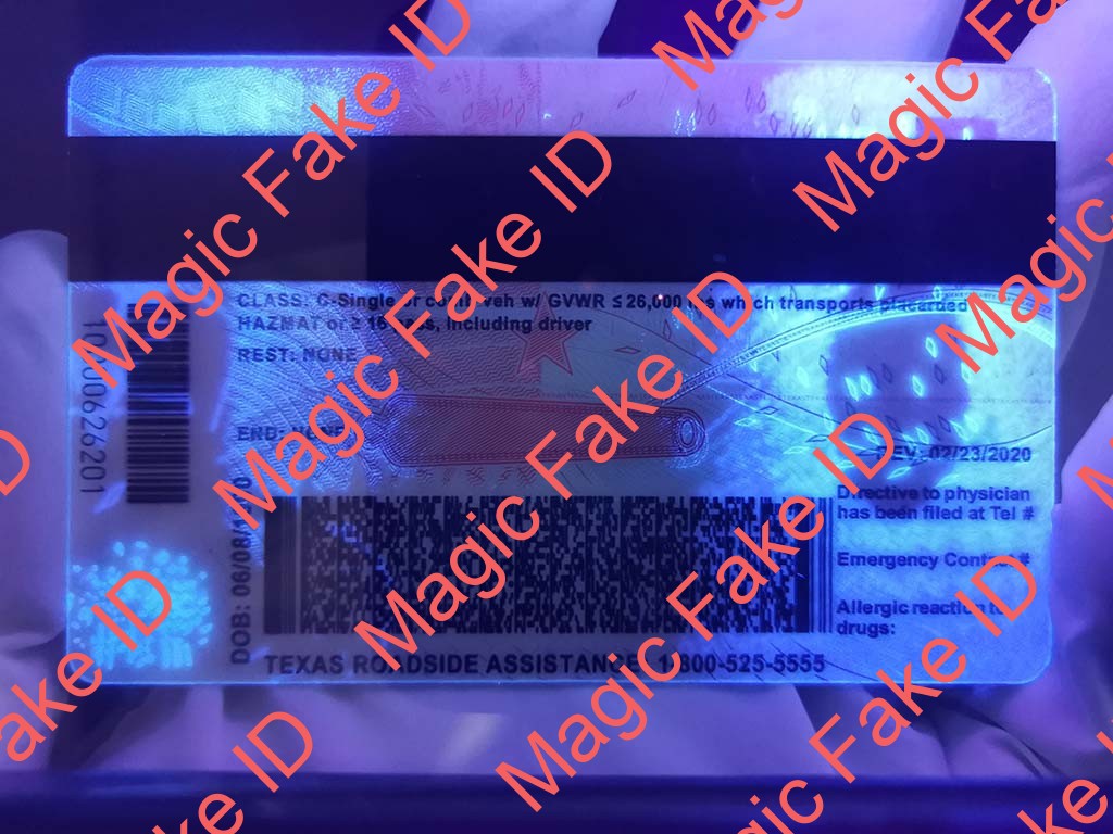 New Texas Driver License - Image 2