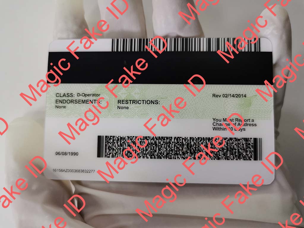Arizona Driver License - Image 3